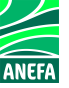 Anefa